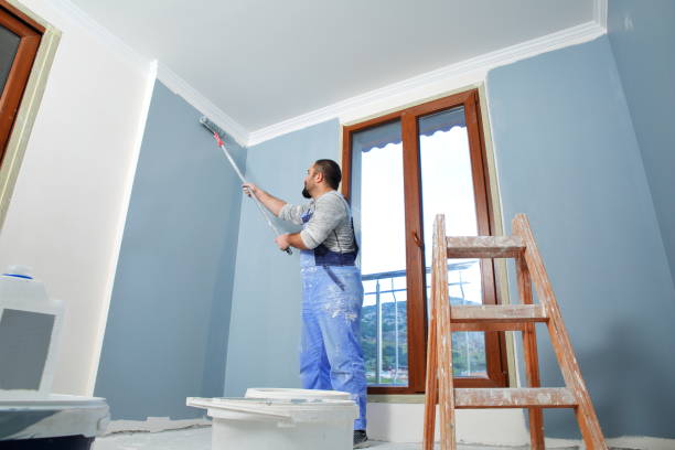 Best Residential Mold Inspection & Testing  in White Sulphur Springs, WV